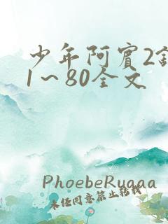 少年阿宾2钰慧1～80全文