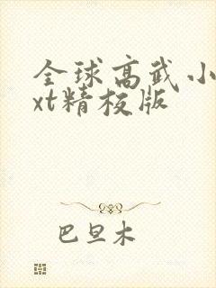 全球高武小说txt精校版