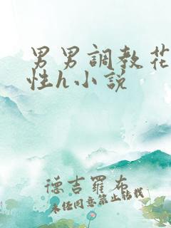 男男调教花蒂双性h小说