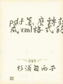 pdf怎么转换成xml格式的文件