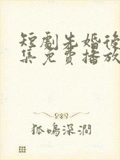 短剧先婚后爱全集免费播放