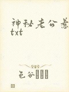 神秘老公惹不起txt