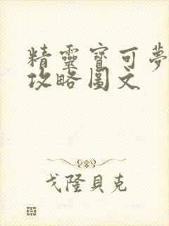 精灵宝可梦xy攻略图文