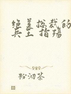 绝美总裁的贴身兵王 指殇