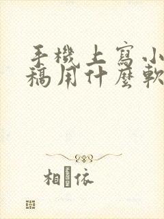 手机上写小说存稿用什么软件