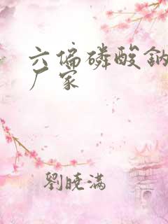 六偏磷酸钠供应厂家