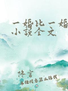 一婚比一婚还高小说全文