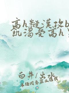 高h糙汉攻bl饥渴受高h男男