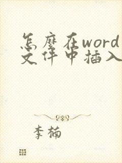怎么在word文件中插入pdf文件