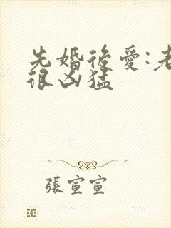 先婚后爱:老公很凶猛