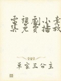 电视剧小幸福全集免费播放