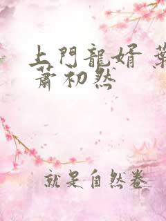 上门龙婿 叶辰 萧初然
