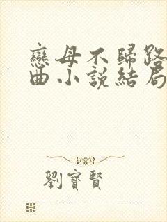 恋母不归路三部曲小说结局