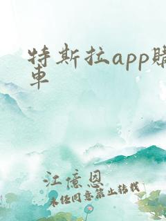 特斯拉app购车