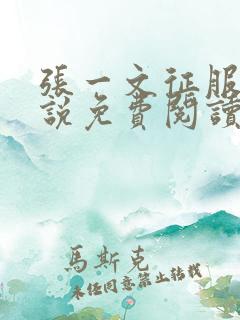 张一文征服芸小说免费阅读第9章