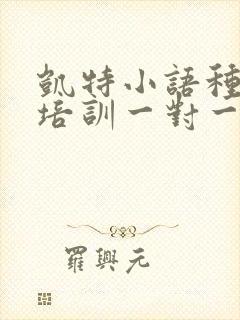凯特小语种口语培训一对一