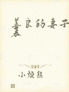 善良的妻子演员表
