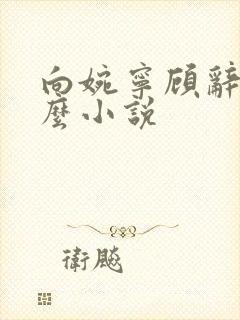 向婉宁顾辞是什么小说