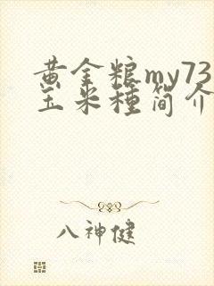 黄金粮my73玉米种简介