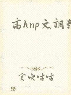 高hnp文调教