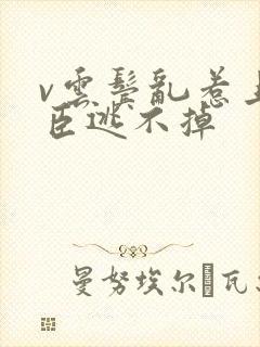 v云鬓乱惹上权臣逃不掉