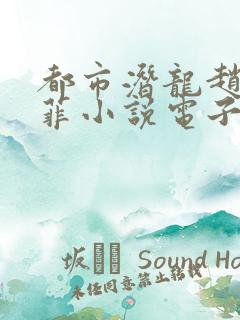 都市潜龙赵东苏菲小说电子书