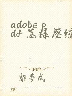 adobe pdf 怎样压缩文件大小