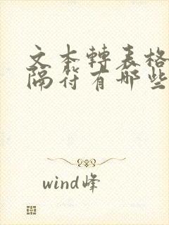 文本转表格的分隔符有哪些
