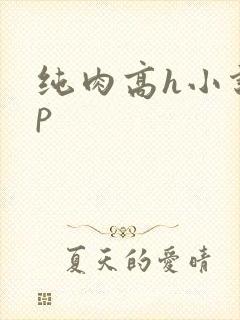 纯肉高h小说np