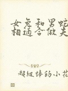女兔和男蛇的属相适合做夫妻吗