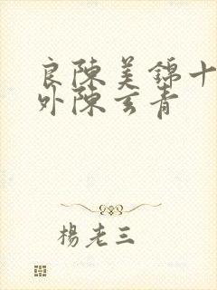 良陈美锦十个番外陈玄青