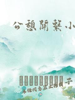公憩关系小说