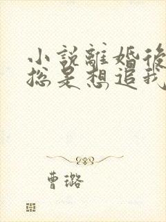 小说离婚后前夫总是想追我免费阅读