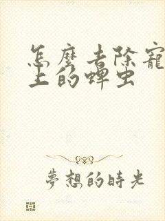 怎么去除宠物身上的蜱虫
