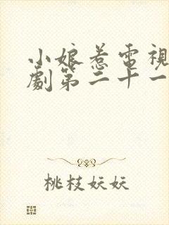 小娘惹电视连续剧第二十一集