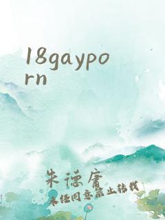 18gayporn