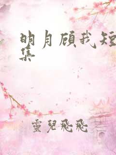 明月顾我短剧全集