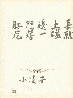 肛门边上长一个疙瘩一碰就疼