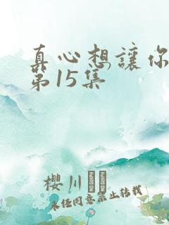真心想让你幸福第15集