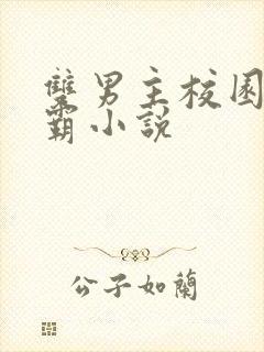 双男主校园双学霸小说