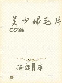 美少妇毛片水多com
