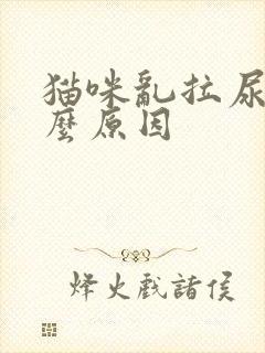 猫咪乱拉尿是什么原因