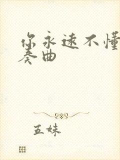 你永远不懂我伴奏曲