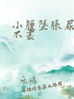 小腹坠胀尿频尿不尽
