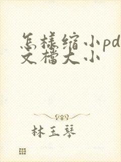 怎样缩小pdf文档大小