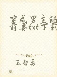 穿成男主的炮灰前妻txt下载