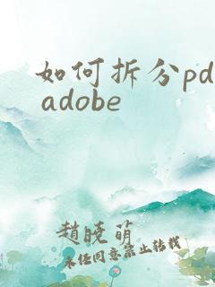 如何拆分pdf adobe