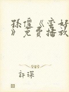 孙俪《蛮好人生》免费播放