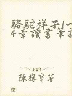 骆驼祥子1~24章读书笔记100字