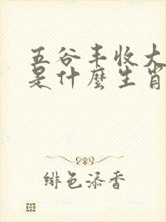 五谷丰收大象忙是什么生肖